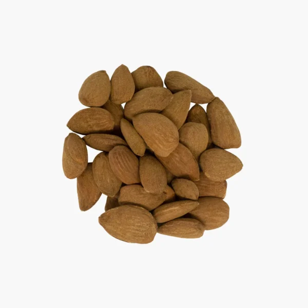 Avola Almond Roman Natural
