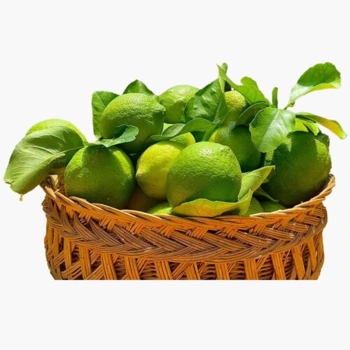 Verdelli Limoni Freschi di Sicilia
